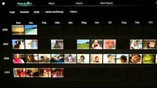 Sony Vaio Media Gallery Software screenshot 2