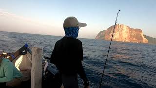 龜山島胖虎1100510