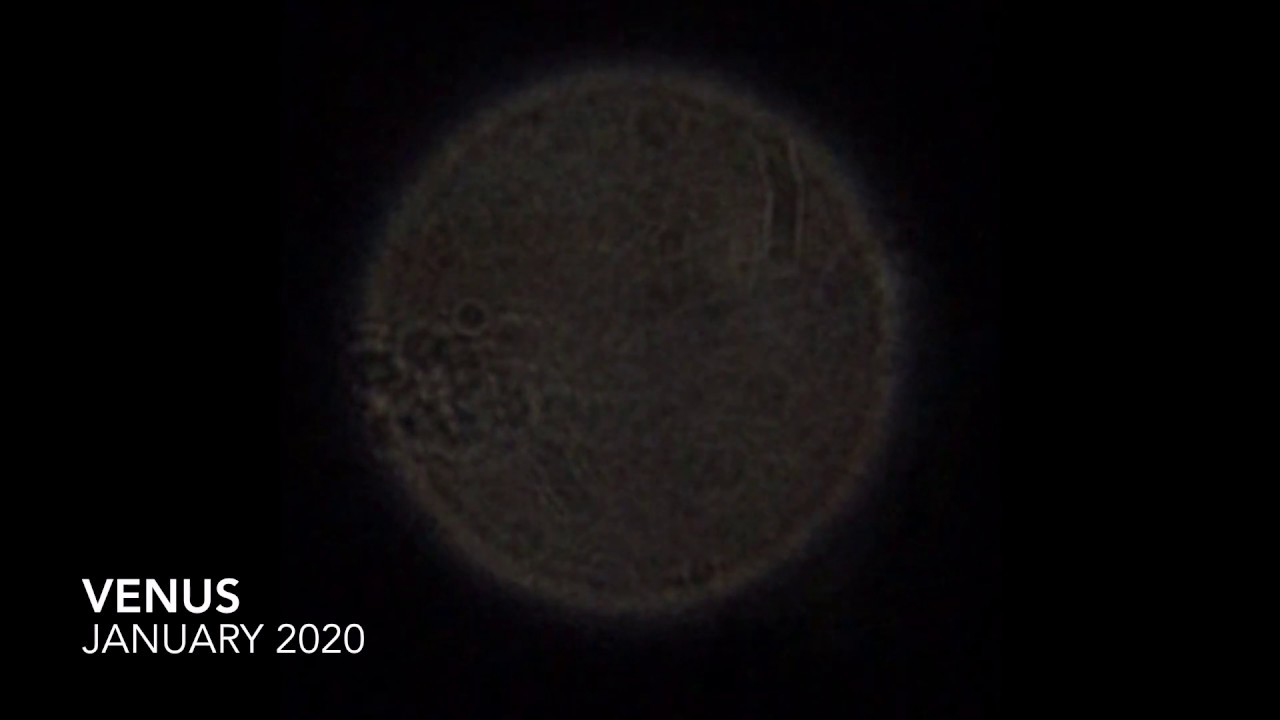 Venus January 2020