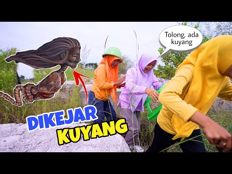 GAWAT KITA DIKEJAR KUYANG GAES | CHIKAKU CHANNEL