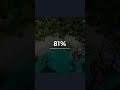 81% of Vietnamese Travellers Plan to Use AI for Trip Planning 🤯 | AI Travel Revolution Across Asia