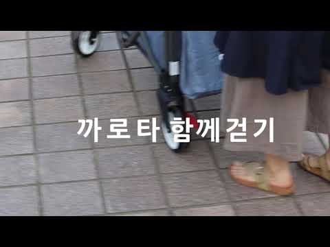 까로타 함께걷기