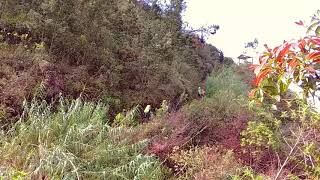 Desember episode 2 || Sumbing