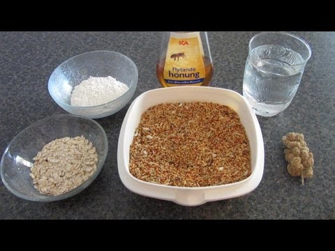 How To Make HEALTHY Homemade Bird Treats! (All birds!)