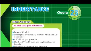Inheritance part 4