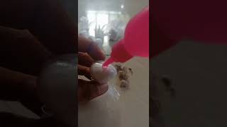 DIY fake garlic 🧄🧄##shortvideo ##vr swara sonal##craftideas ##