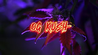 Strain Info (Ep.4) - OG Kush