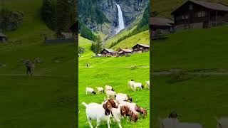 Most beautiful places in Switzerland #swissbeauty #travel #beautifulworld #swissalps #switzerland