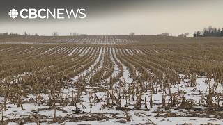 Residential Community For 72,000 People Could Be Coming To Rural Pickering