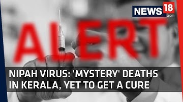 Nipah Virus | 