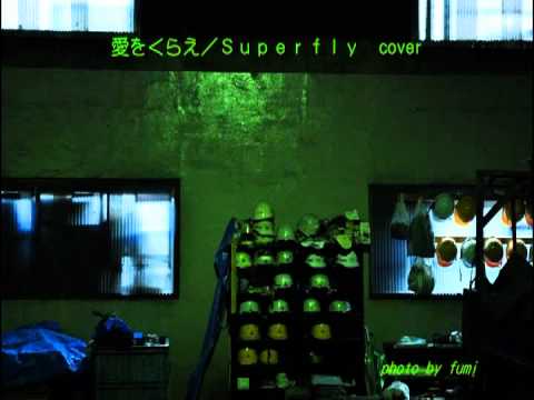 愛をくらえ/ Ｓｕｐｅｒｆｌｙ cover vo.Okusama