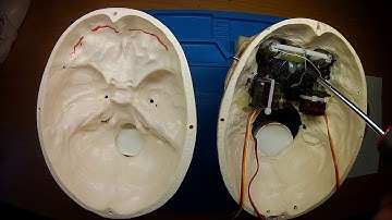 Skull Assembly Tutorial English