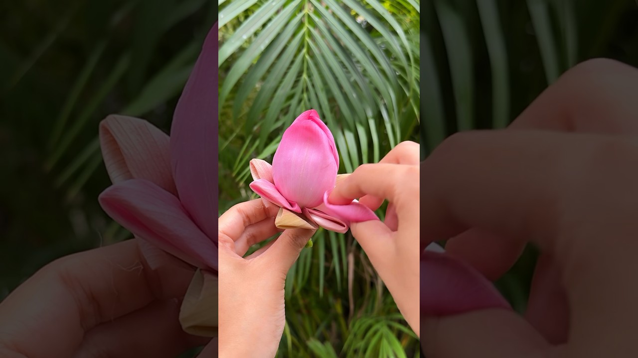 You have to try this Lotus Hairstyle🪷 