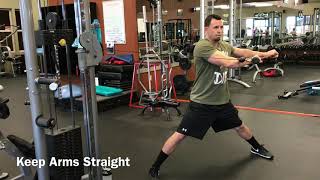 Wide Stance Cable Anti-Rotation Pulls