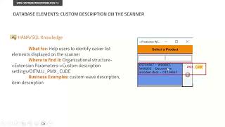 Produmex WMS Customization Possibilities webinar: 2.9. custom item description