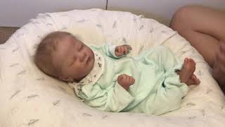 Can Reborns Really Fill That Void? Reborn Baby Charlotte