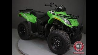 2016  ARCTIC CAT  300 2X4 - National Powersports Distributors