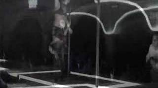 Cadillac Bar Table Dance