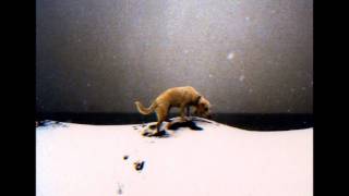 Paula Carino Mother, I Must Go To Maxwells