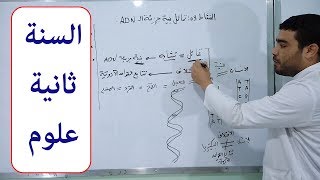 الحصة 27: تماثل بنية جزيئة الـ ADN