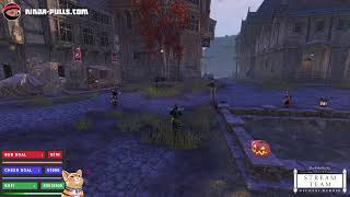 🔥 Event Dailies with Viewers 🔥 Combat Q&A 🔥