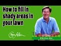 How to fill in Shady Areas in your lawn