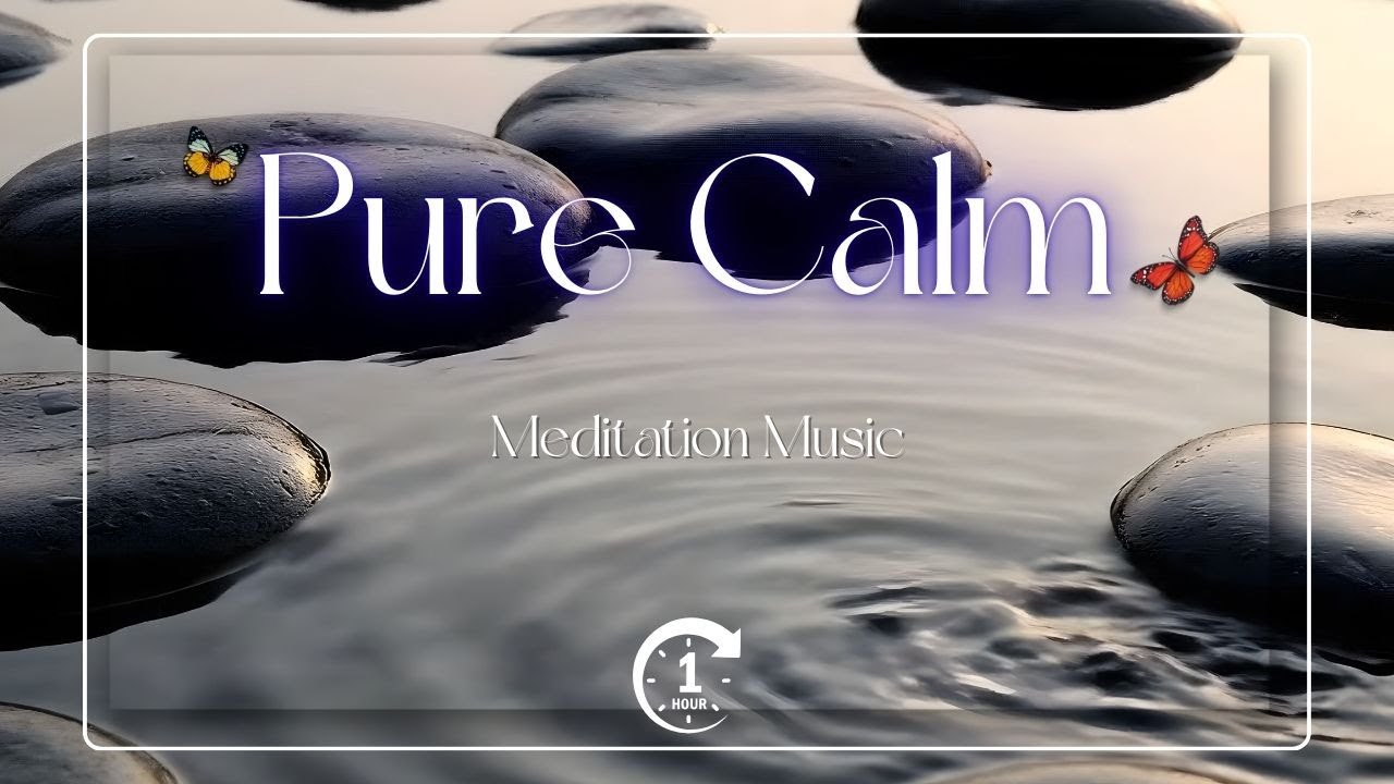 Ad-Free Forest Sounds | Real Nature, Pure Calm