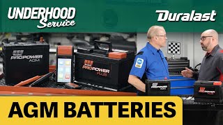 Answering Technicians' Questions About AGM Batteries
