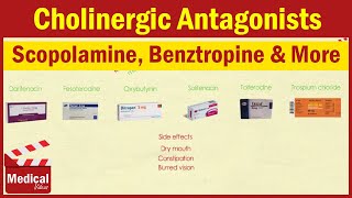 Pharmacology ans 8 Cholinergic Antagonists Part 1 atropine  Scopolamine  Benztropine etc