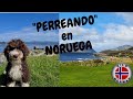 &quot;Perreando&quot; en Noruega 😉 Kilo Norway | 4-22