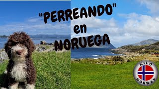 &quot;Perreando&quot; en Noruega 😉 Kilo Norway | 4-22