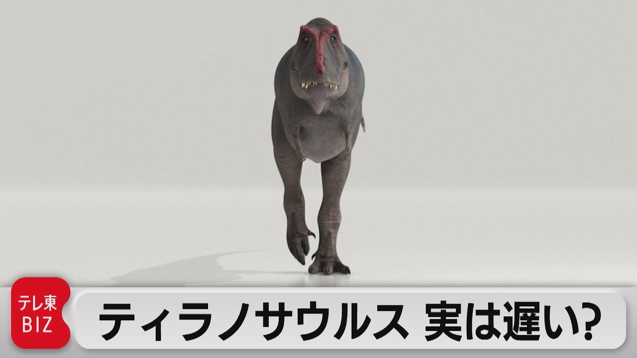 ティラノサウルス 人の歩きと同程度だった オランダの研究 21年4月22日 Youtube