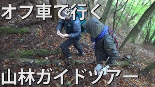 小菅村でサバイバル：山で食べ物は見つかるのか？初級訓練