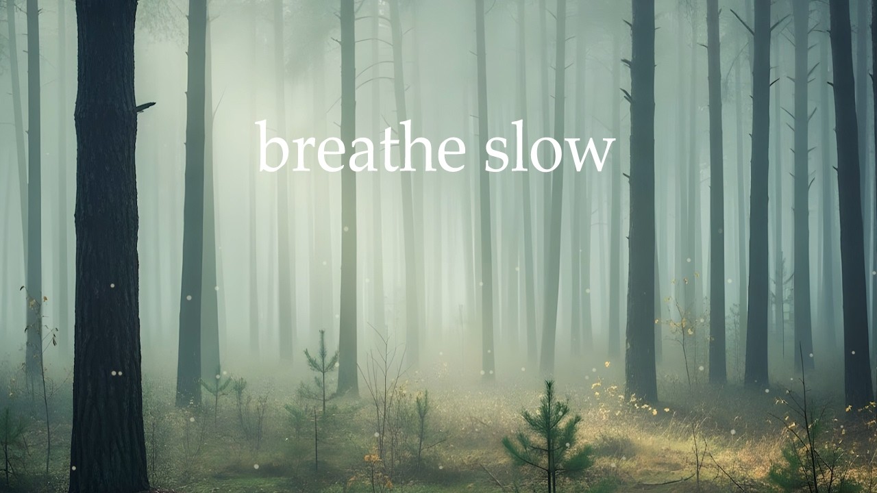 Breathe Slowly A Piano Journey