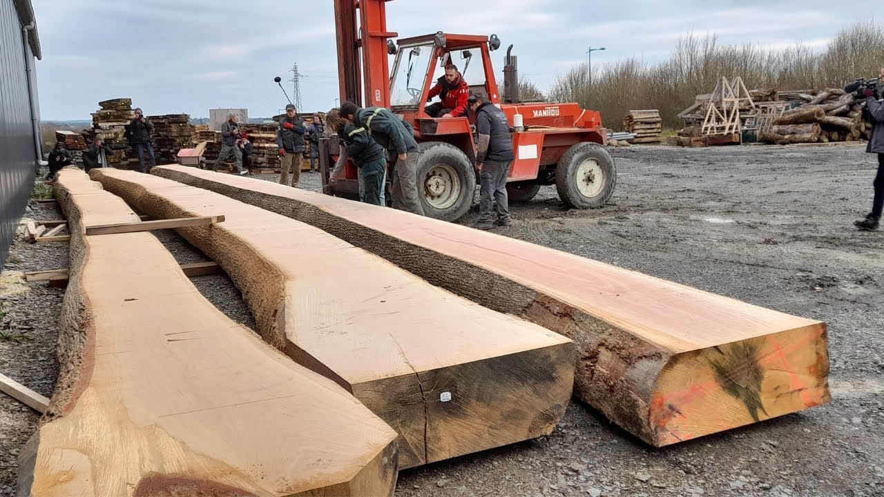 🌳La filière forêt-bois s’organise pour reconstruire Notre-Dame de Paris