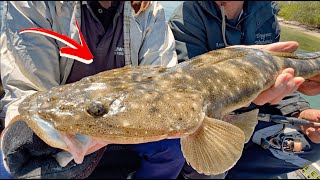 FLATHEAD FISHING WITH LURES | Anyone Can Do It.