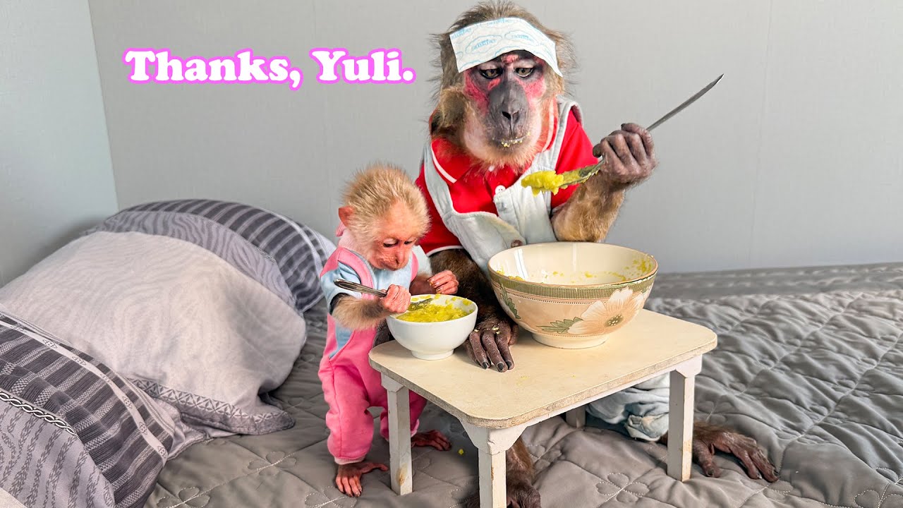Baby Monkey Yuli Harvests Squash and Prepares a Healthy Soup for YoYo Jr.