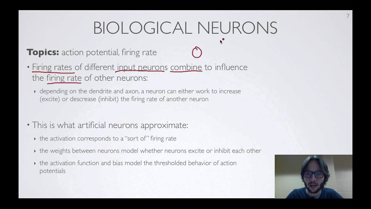 Neural networks [1.6] : Feedforward neural network - biological inspiration