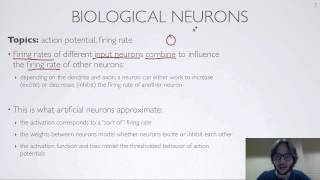 Neural networks [1.6] : Feedforward neural network - biological inspiration