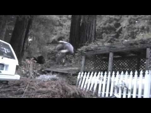 Busting a side flip COBALTGRUV