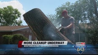 TIMBER! Tree cleaning service estimates between $4-6,000 to remove fallen tree