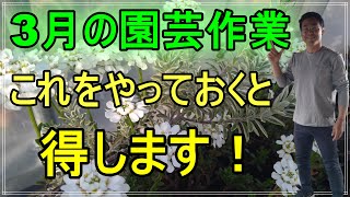 [ガーデニング] 園芸12ヵ月～3月の園芸作業 part1 (鉢植えのお手入れ)～「キャリア29年のプロガーデナーが毎月行う園芸作業」