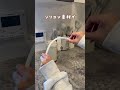 商品ページはプロフリンクから“タンブラーセット”って検索してね🔍#便利グッズ