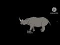 Brazilian animals The Kids Picture Show