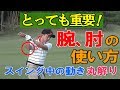 ゴルフスイングの手、腕、肘の使い方、動かし方、コッキング等をスギプロがレッスンします。