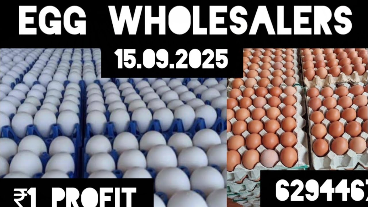 Egg wholesale market, Ande ka wholesale market,Egg wholesale business 2025