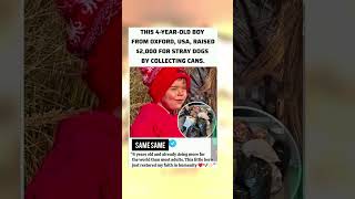 4-Year-Old Hero From Oxford Saves Stray Dogs!#viralvideo #history #viralstory