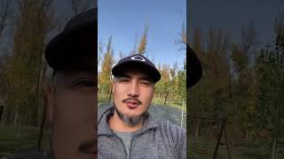 Каждый день делай это! #самопознание #топ #силасознания #любовь