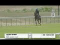 Lot 4 - QUERARI (GER) - GOODTIME GAL