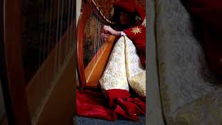 First Test Drive Of The New Houppelande To See If I Can Play Harp In It.